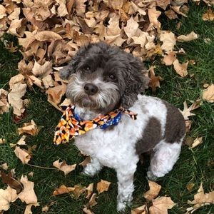 Meet your Posher, Emma